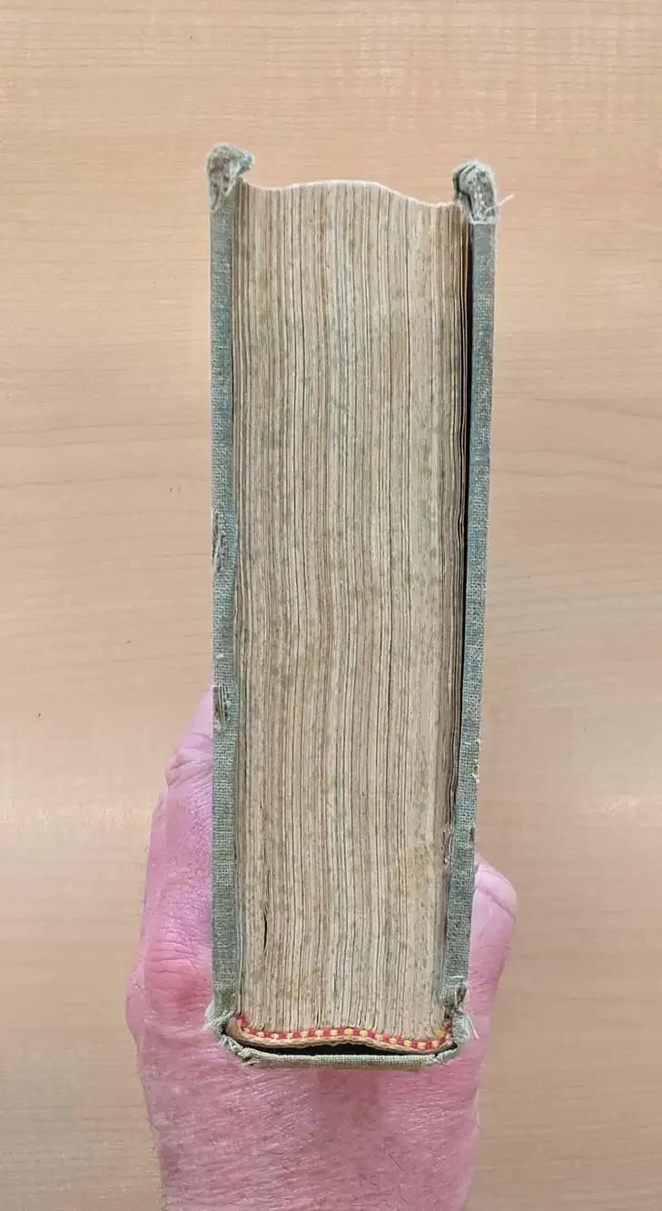 The American Woman's Cook Book Edited by Ruth Berolzheimer National Binding